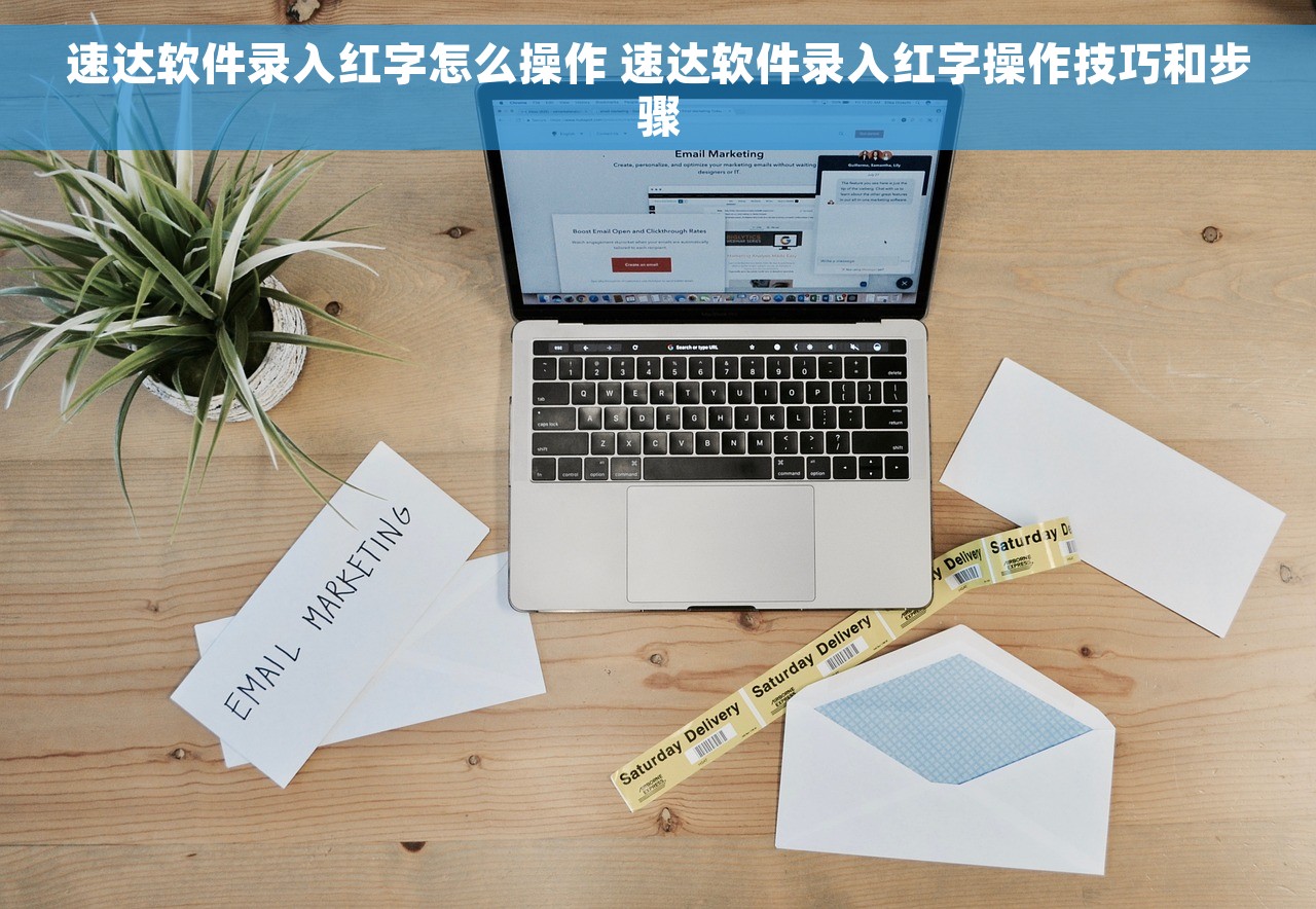 速达软件录入红字怎么操作 速达软件录入红字操作技巧和步骤
