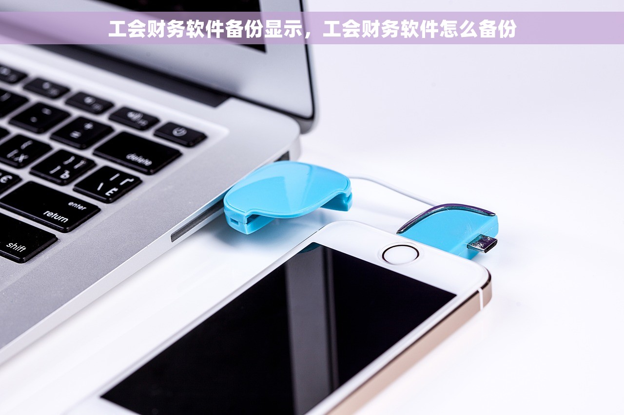 工会财务软件备份显示，工会财务软件怎么备份