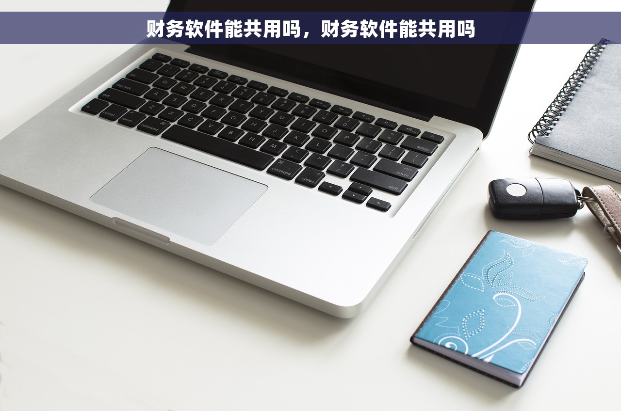 财务软件能共用吗，财务软件能共用吗