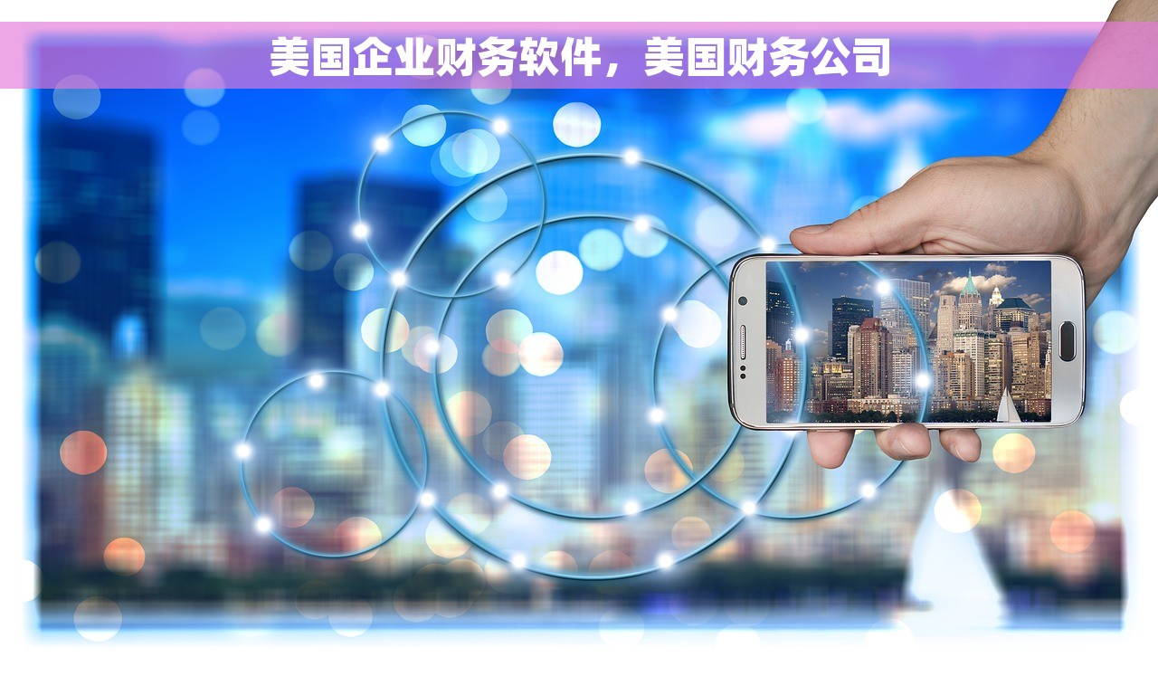 美国企业财务软件，美国财务公司