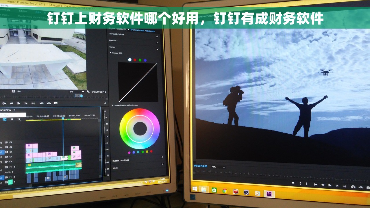 钉钉上财务软件哪个好用，钉钉有成财务软件