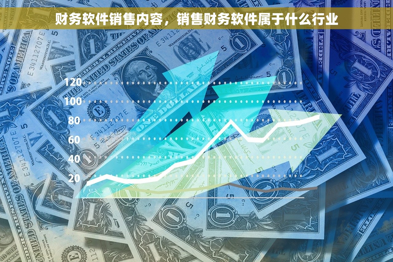 财务软件销售内容，销售财务软件属于什么行业