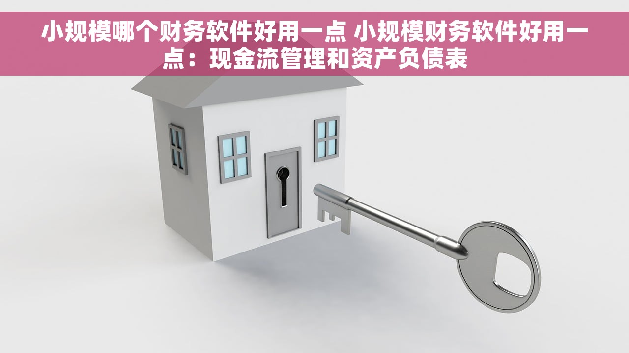 小规模哪个财务软件好用一点 小规模财务软件好用一点：现金流管理和资产负债表