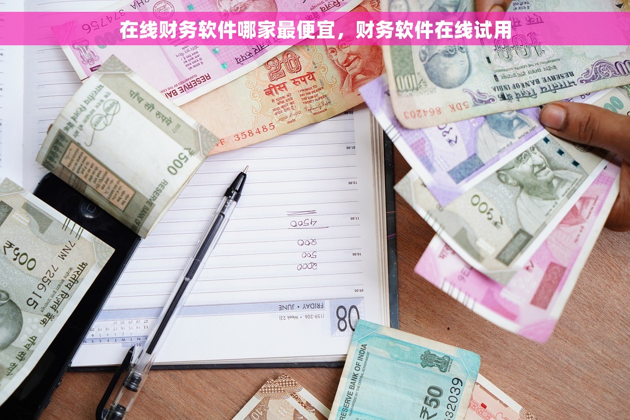 在线财务软件哪家最便宜，财务软件在线试用