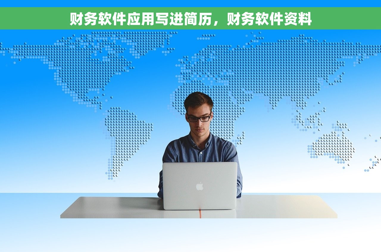财务软件应用写进简历，财务软件资料