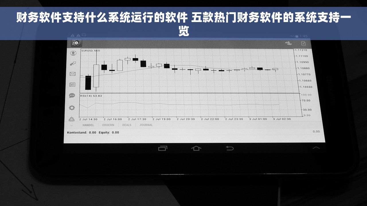 财务软件支持什么系统运行的软件 五款热门财务软件的系统支持一览