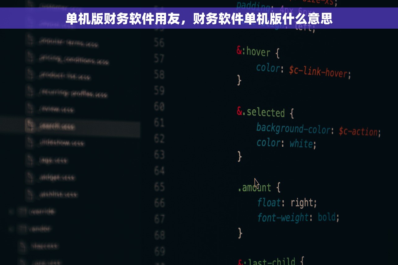 单机版财务软件用友，财务软件单机版什么意思