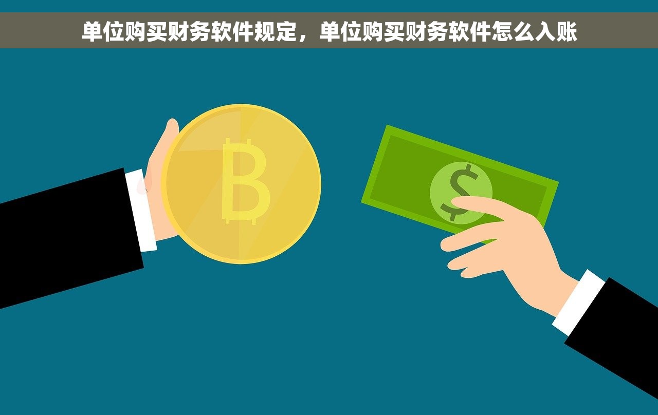 单位购买财务软件规定，单位购买财务软件怎么入账