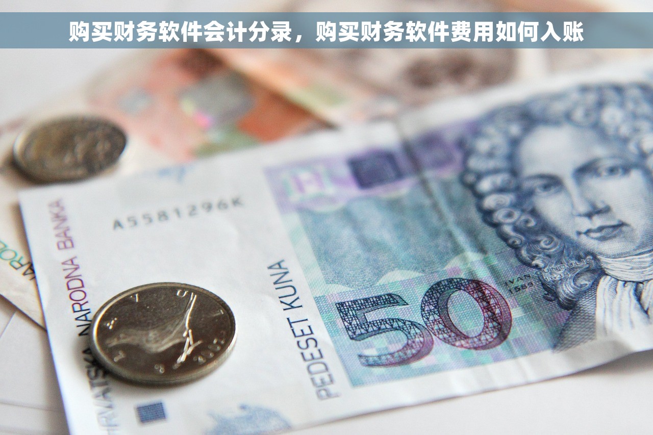 购买财务软件会计分录，购买财务软件费用如何入账