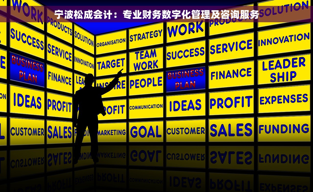 宁波松成会计：专业财务数字化管理及咨询服务