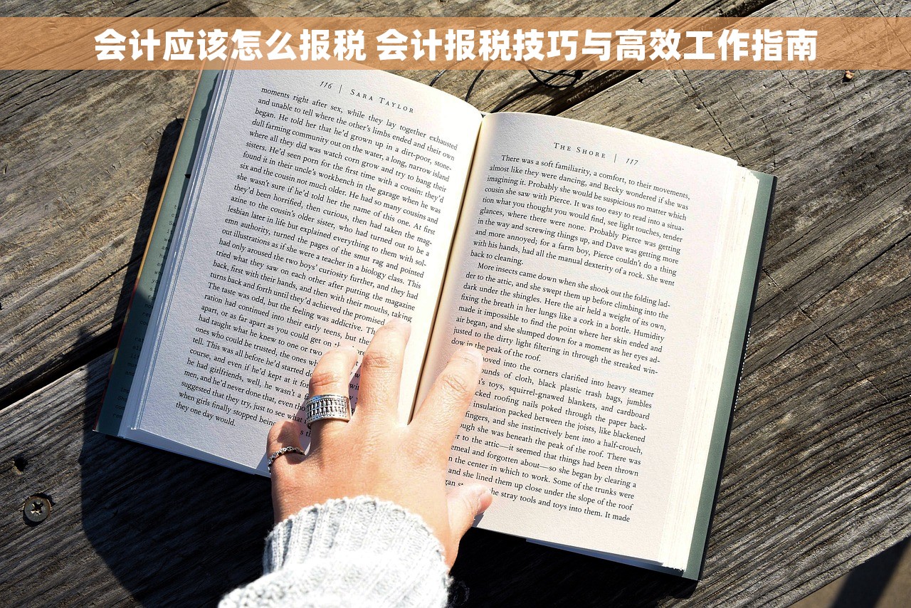 会计应该怎么报税 会计报税技巧与高效工作指南