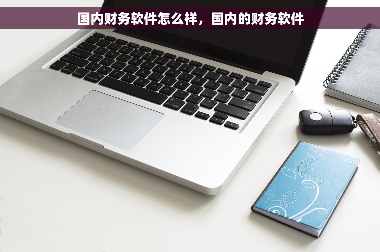 国内财务软件怎么样，国内的财务软件