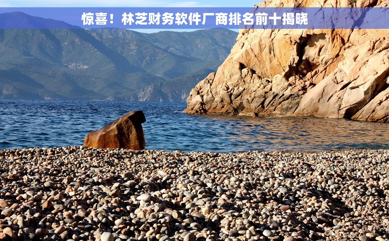惊喜！林芝财务软件厂商排名前十揭晓