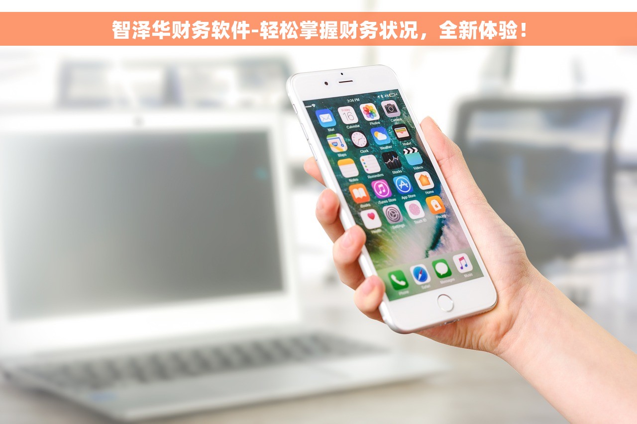 智泽华财务软件-轻松掌握财务状况，全新体验！