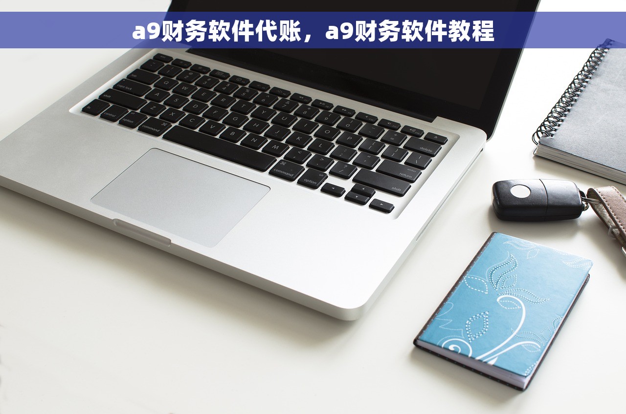 a9财务软件代账，a9财务软件教程