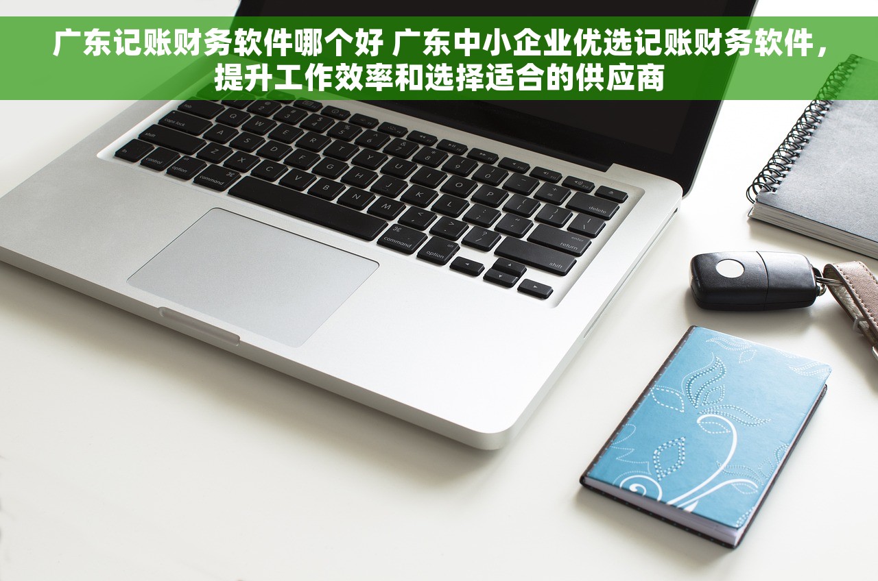 广东记账财务软件哪个好 广东中小企业优选记账财务软件，提升工作效率和选择适合的供应商