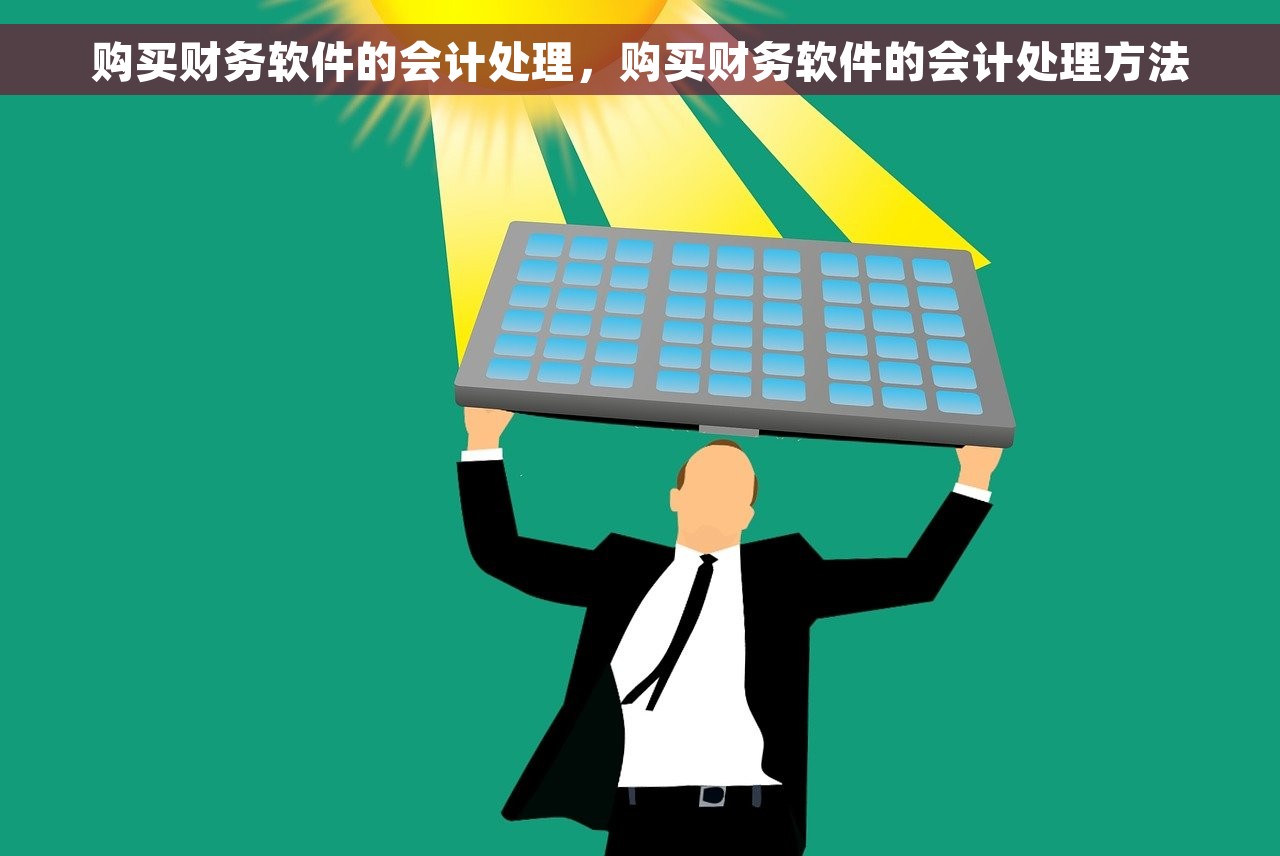 购买财务软件的会计处理，购买财务软件的会计处理方法
