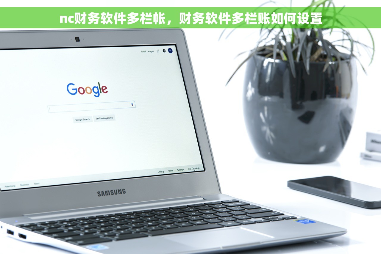 nc财务软件多栏帐，财务软件多栏账如何设置