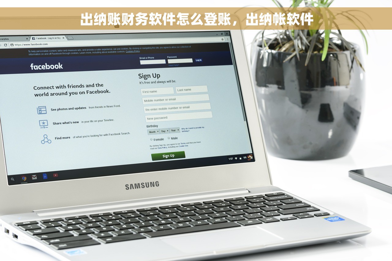 出纳账财务软件怎么登账，出纳帐软件