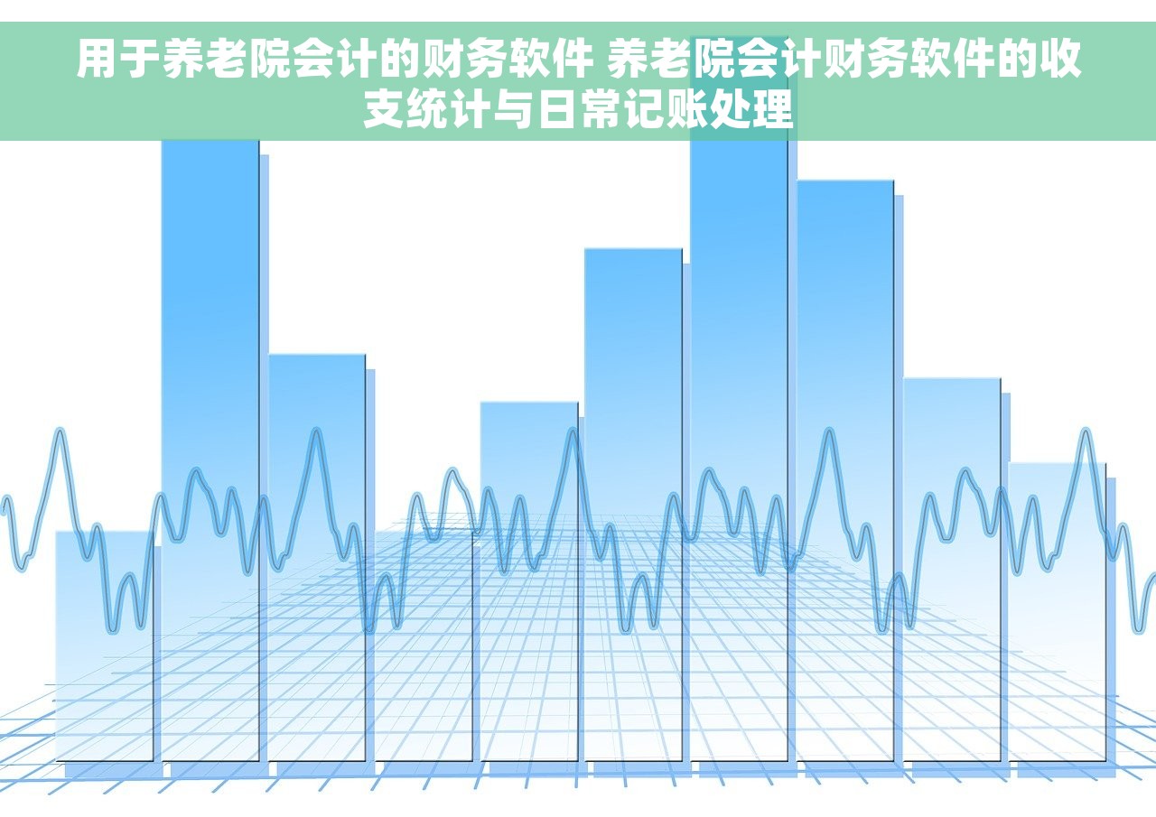 用于养老院会计的财务软件 养老院会计财务软件的收支统计与日常记账处理