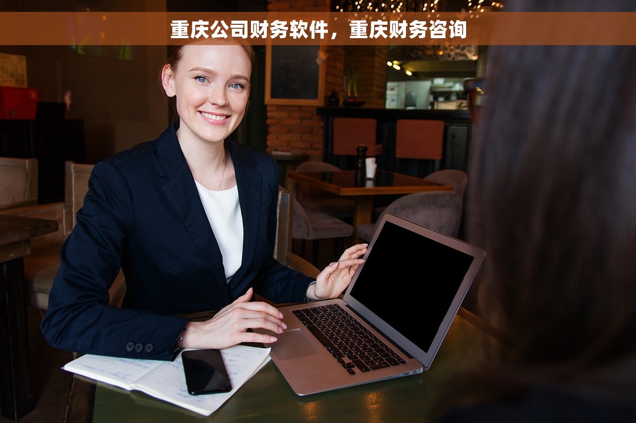 重庆公司财务软件，重庆财务咨询