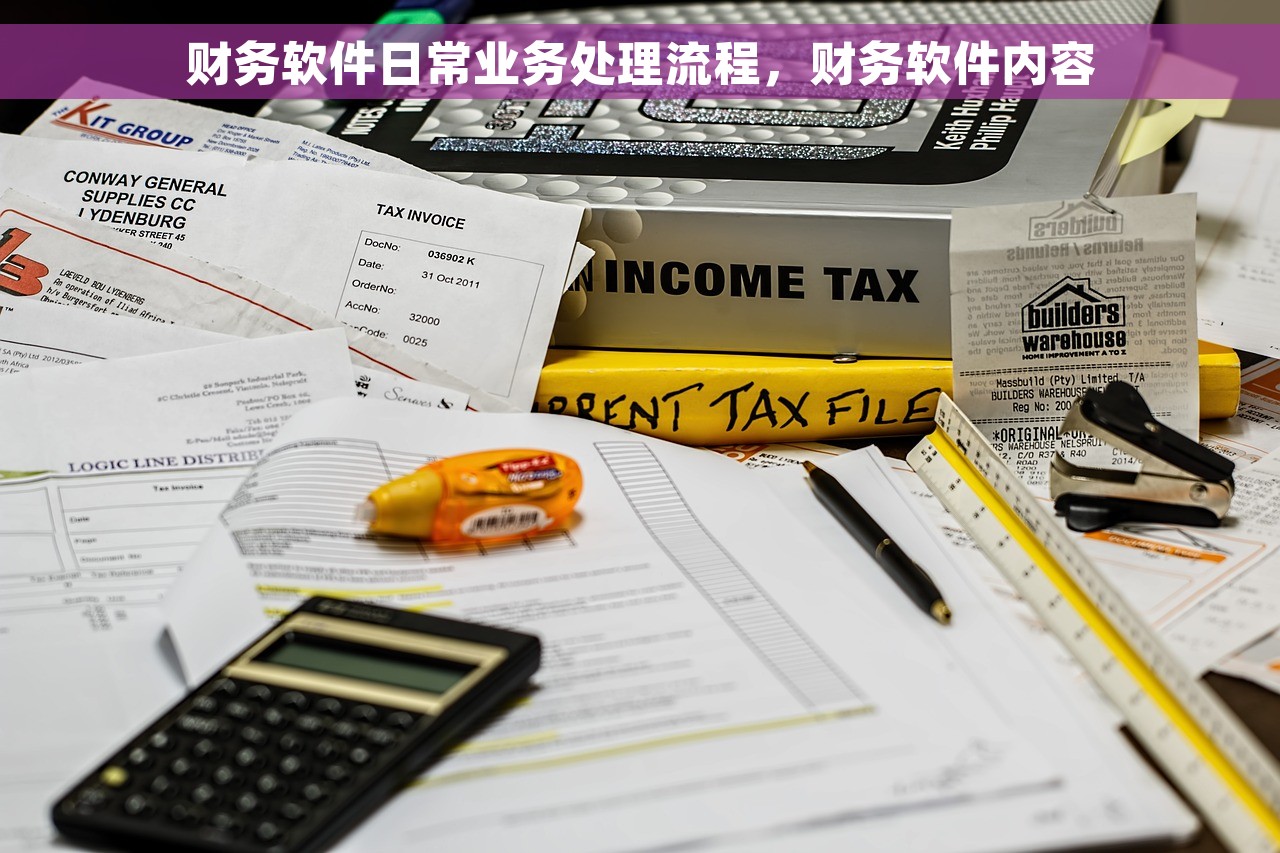 财务软件日常业务处理流程，财务软件内容
