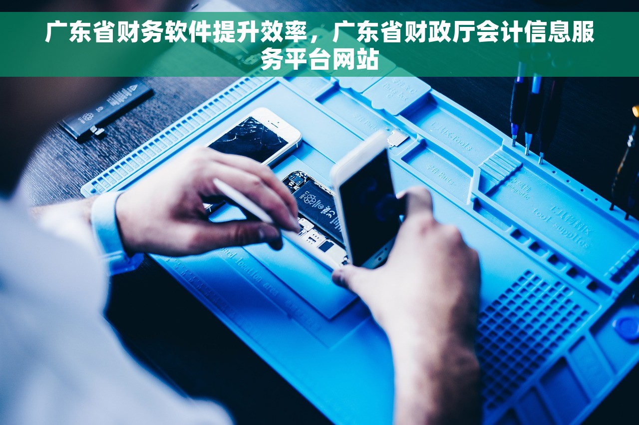 广东省财务软件提升效率，广东省财政厅会计信息服务平台网站