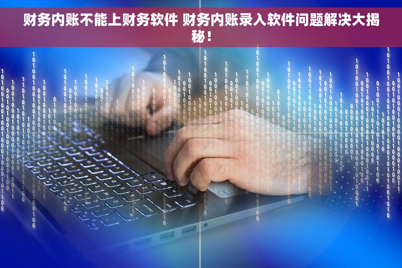 财务内账不能上财务软件 财务内账录入软件问题解决大揭秘！