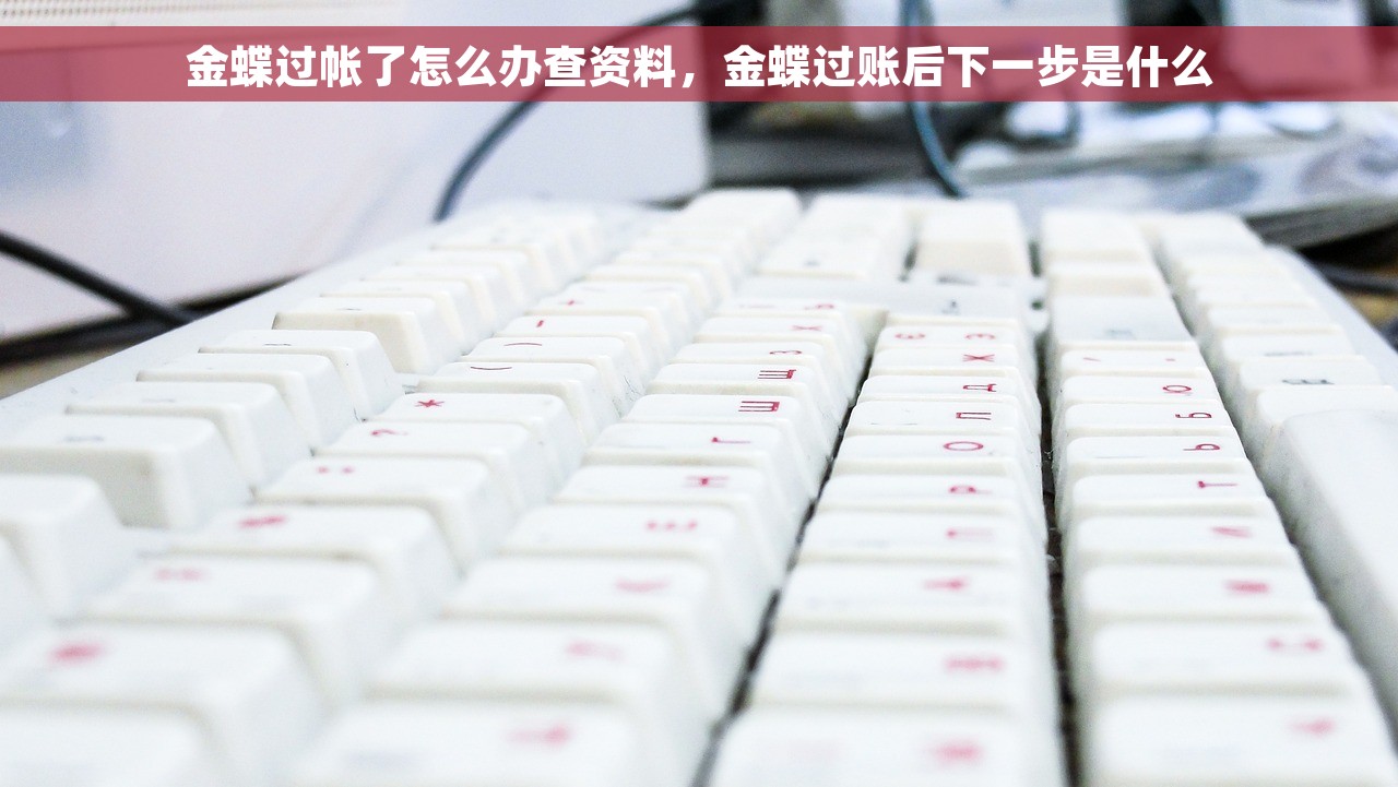 金蝶过帐了怎么办查资料，金蝶过账后下一步是什么