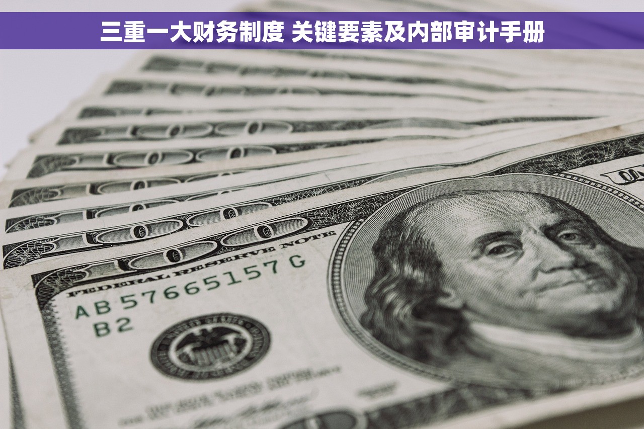 三重一大财务制度 关键要素及内部审计手册