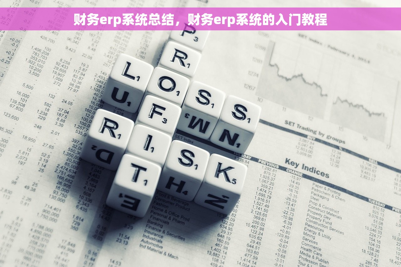 财务erp系统总结，财务erp系统的入门教程