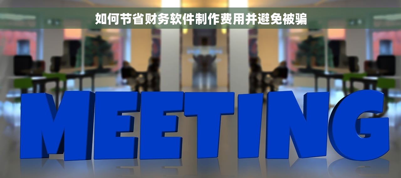 如何节省财务软件制作费用并避免被骗