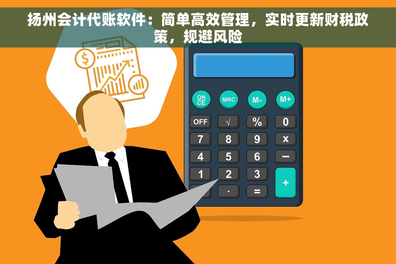 扬州会计代账软件：简单高效管理，实时更新财税政策，规避风险