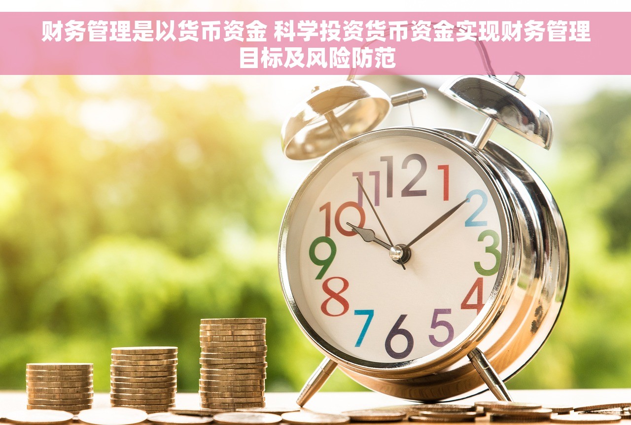 财务管理是以货币资金 科学投资货币资金实现财务管理目标及风险防范