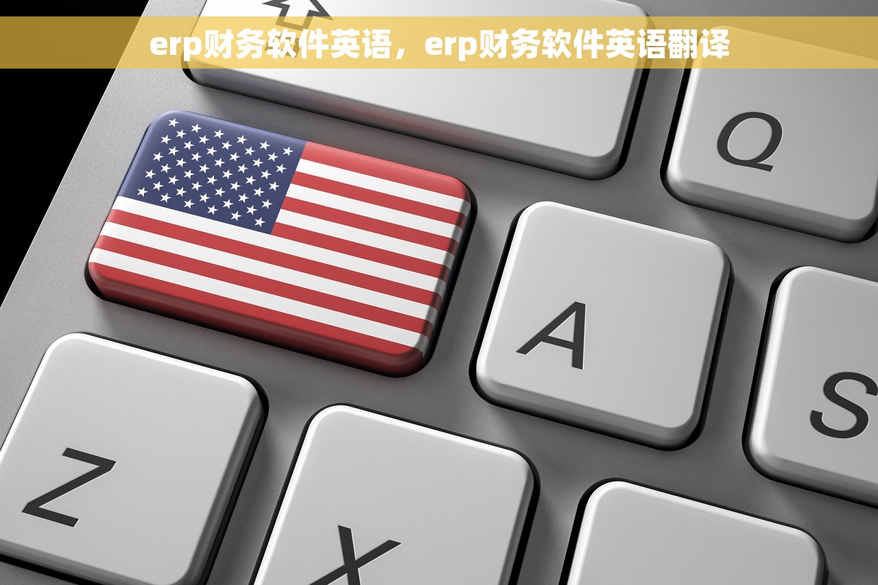 erp财务软件英语，erp财务软件英语翻译