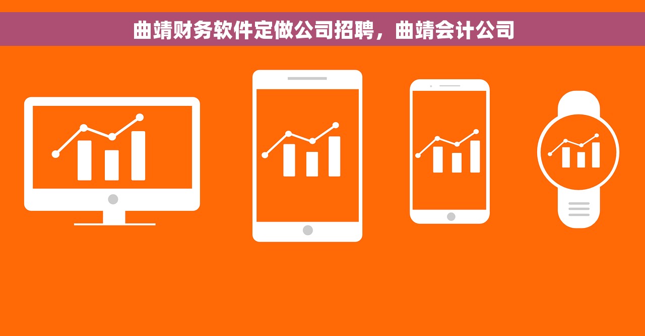 曲靖财务软件定做公司招聘，曲靖会计公司