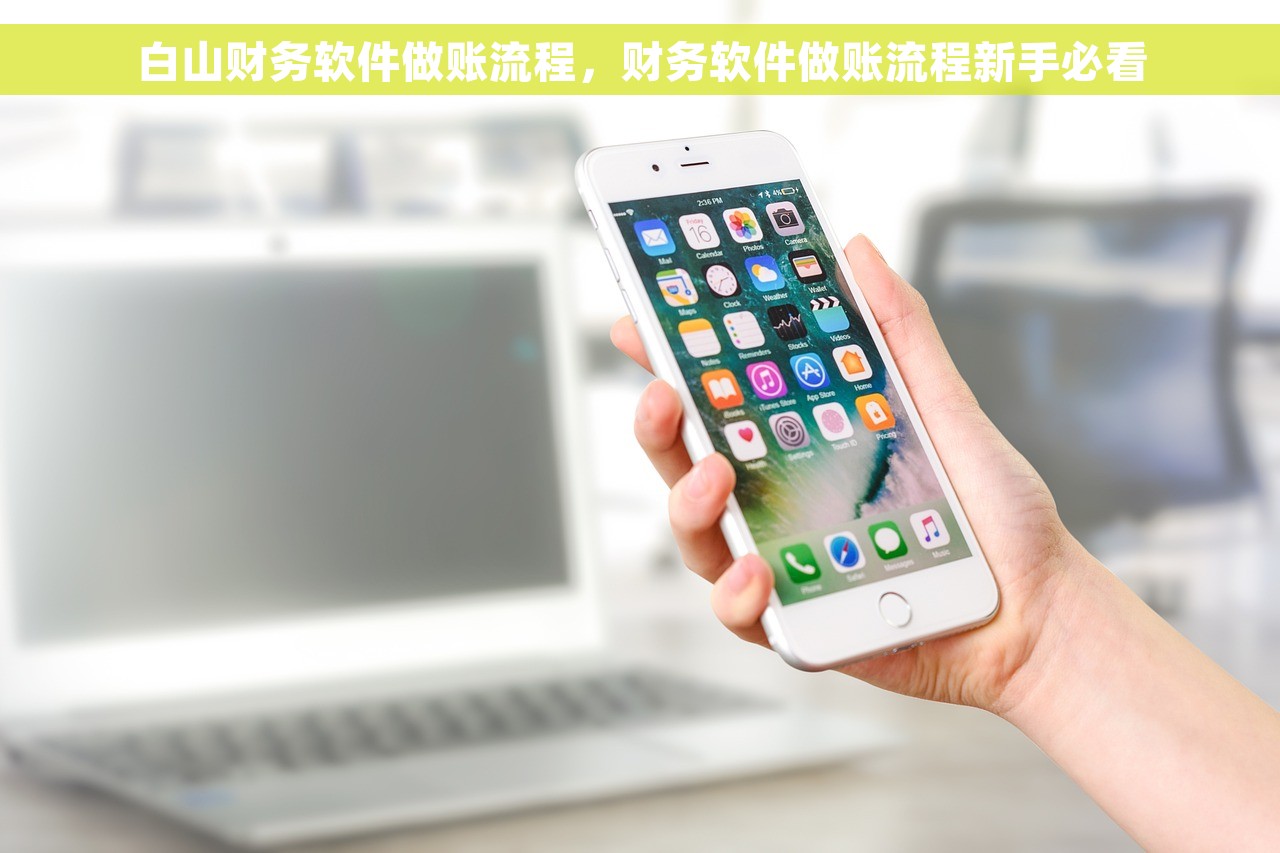 白山财务软件做账流程，财务软件做账流程新手必看