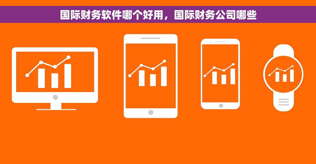 国际财务软件哪个好用，国际财务公司哪些