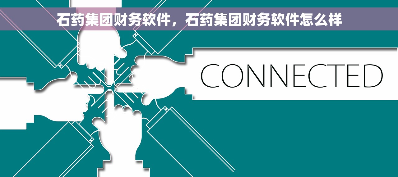 石药集团财务软件，石药集团财务软件怎么样