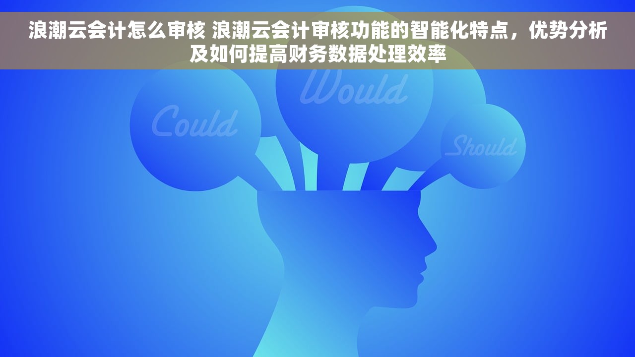浪潮云会计怎么审核 浪潮云会计审核功能的智能化特点，优势分析及如何提高财务数据处理效率