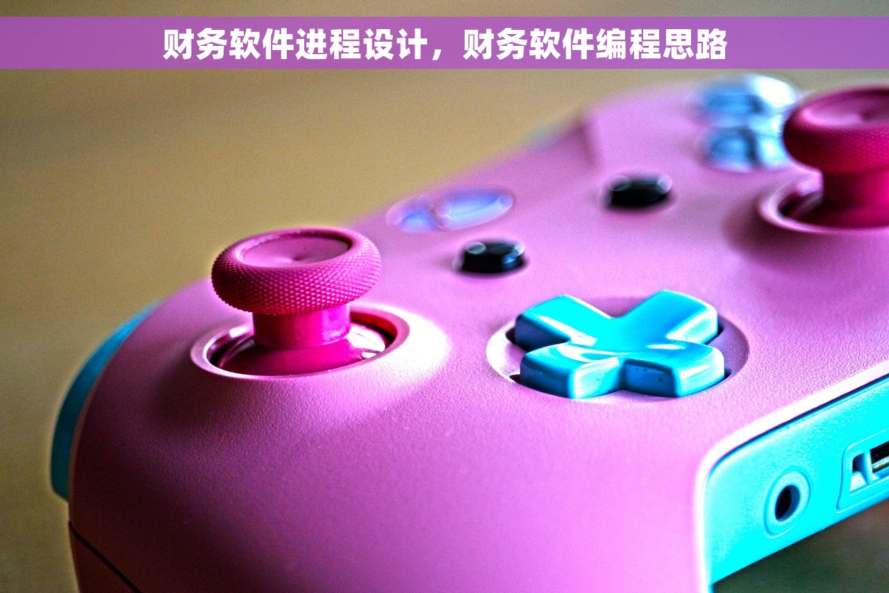 财务软件进程设计，财务软件编程思路
