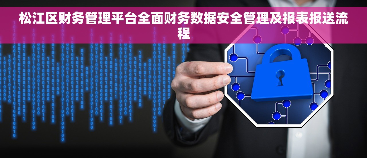 松江区财务管理平台全面财务数据安全管理及报表报送流程