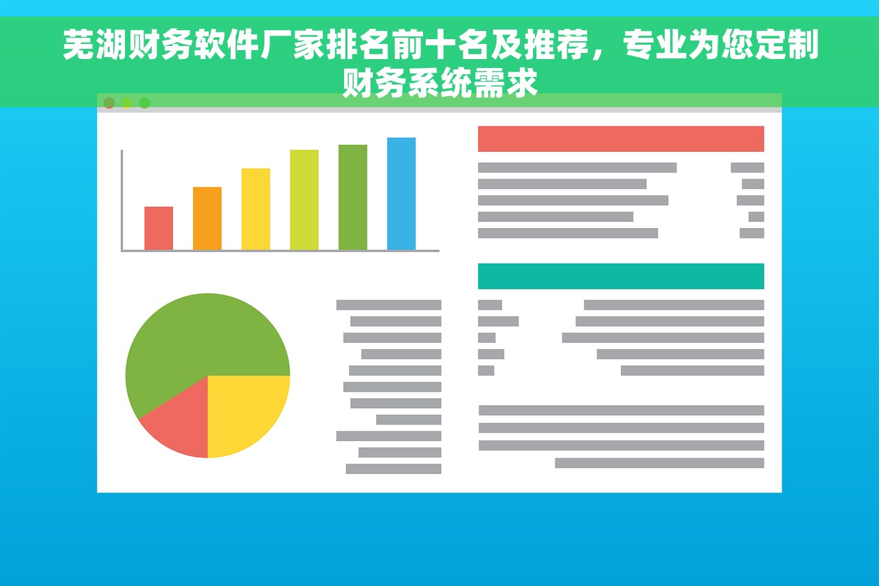 芜湖财务软件厂家排名前十名及推荐，专业为您定制财务系统需求
