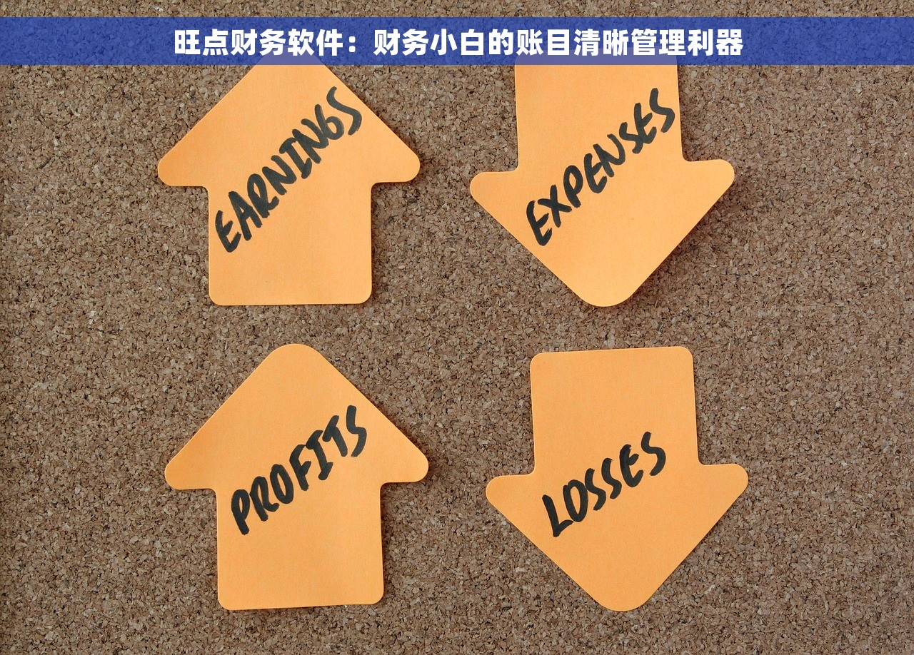 旺点财务软件：财务小白的账目清晰管理利器