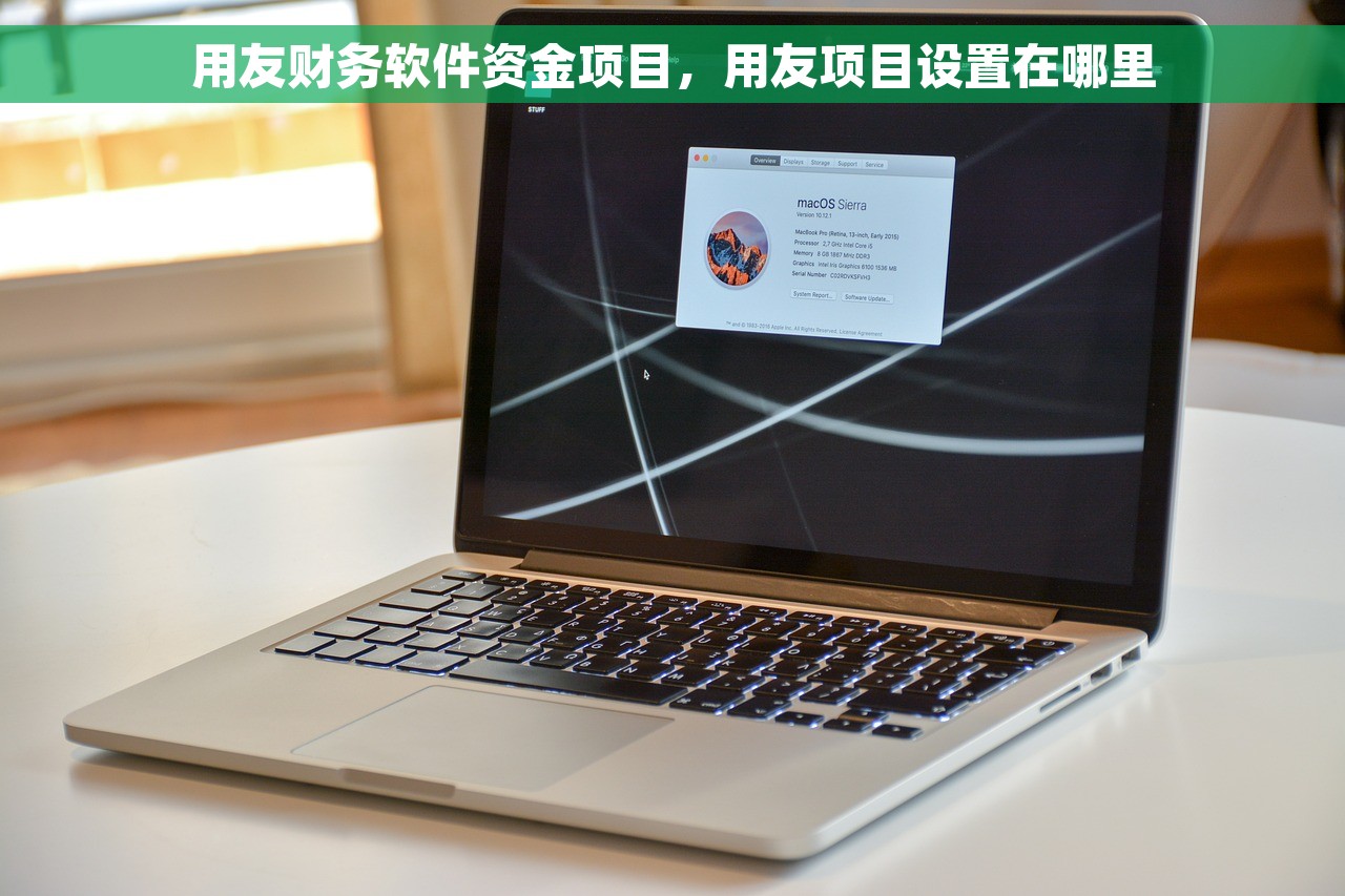 用友财务软件资金项目，用友项目设置在哪里