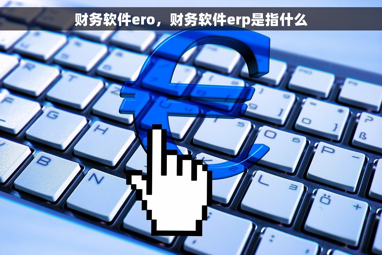 财务软件ero，财务软件erp是指什么