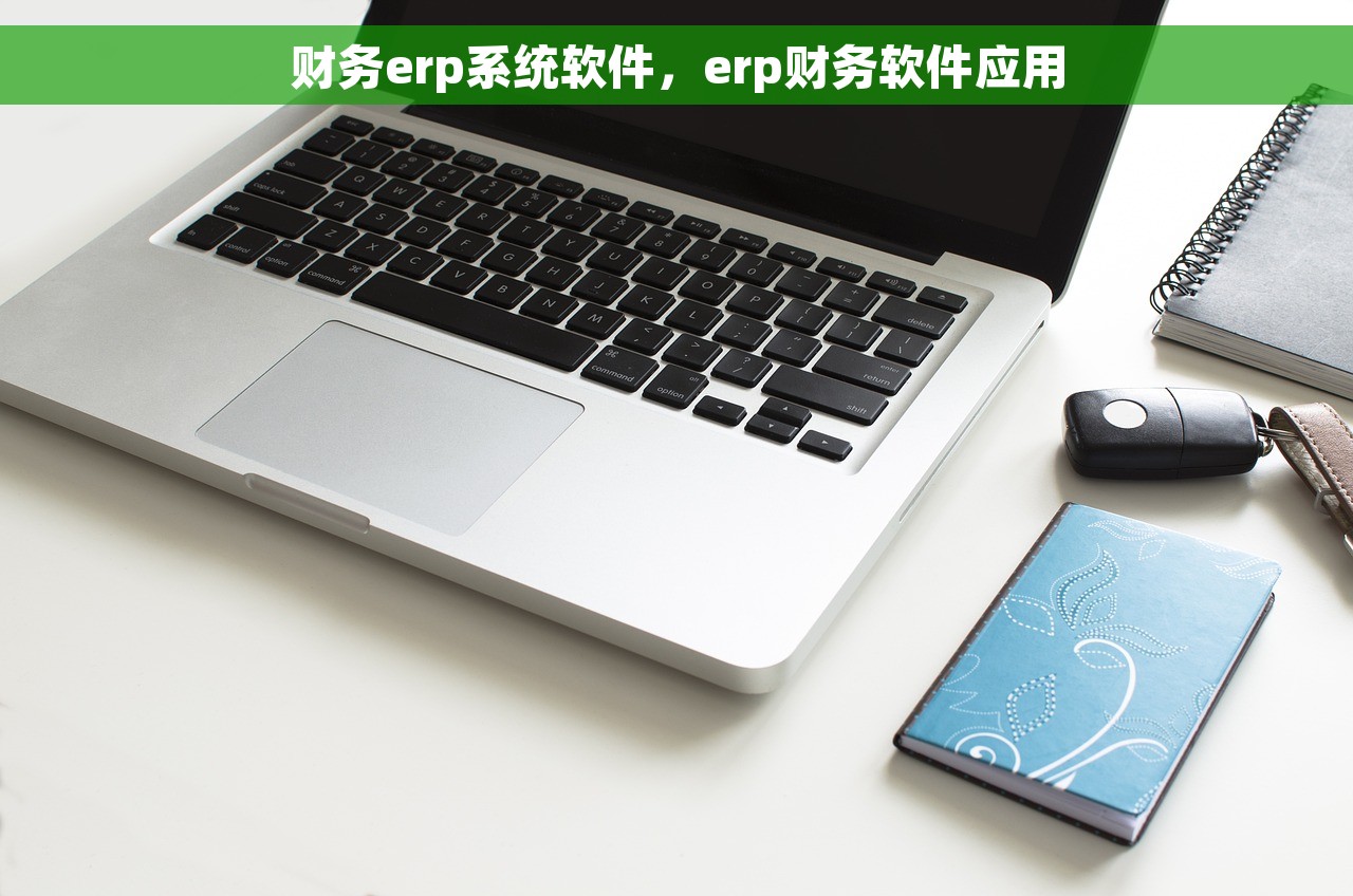 财务erp系统软件，erp财务软件应用