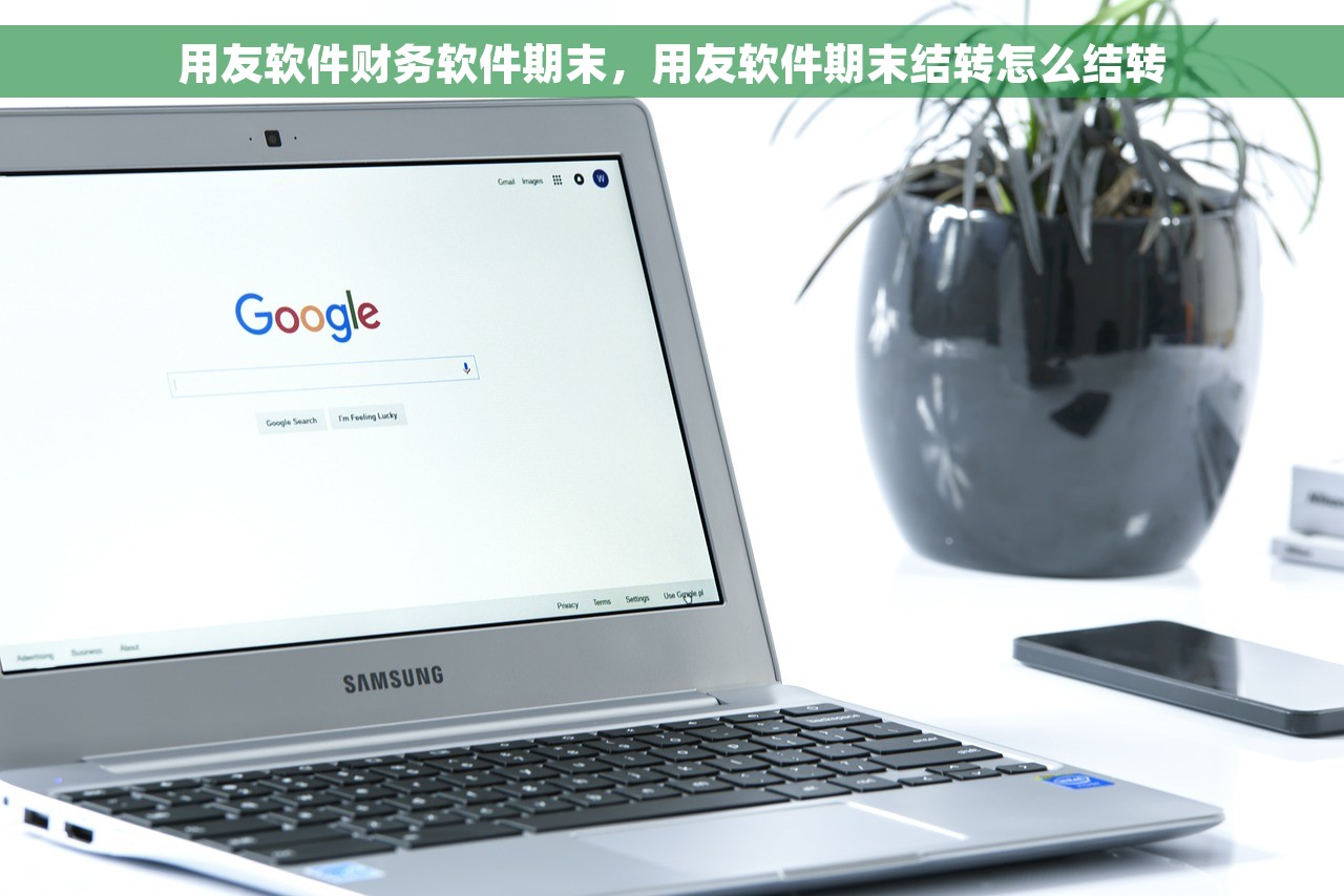 用友软件财务软件期末，用友软件期末结转怎么结转