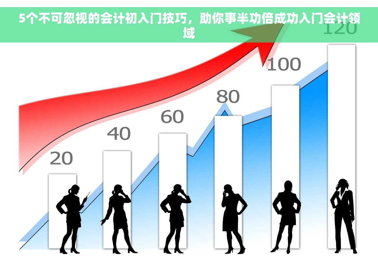 5个不可忽视的会计初入门技巧，助你事半功倍成功入门会计领域