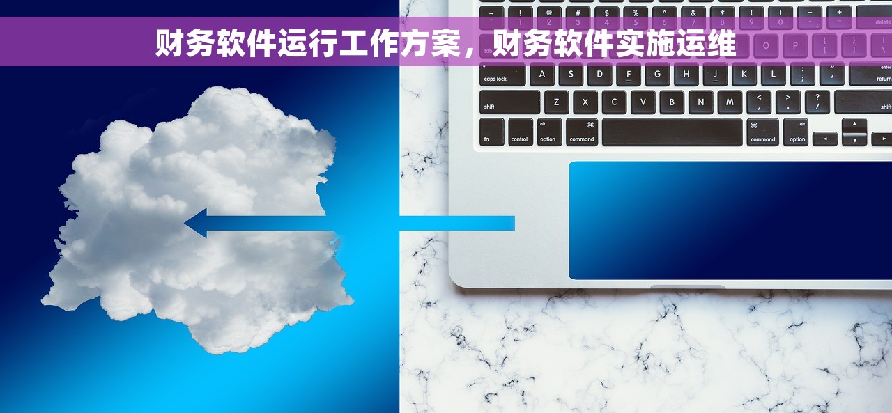 财务软件运行工作方案，财务软件实施运维